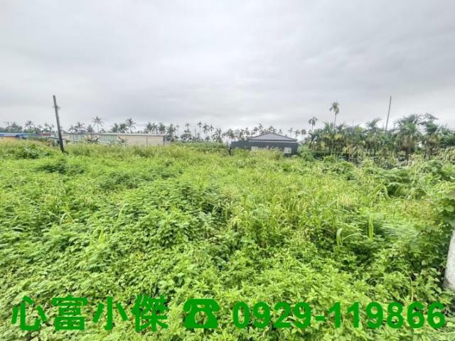 麟洛農地-1