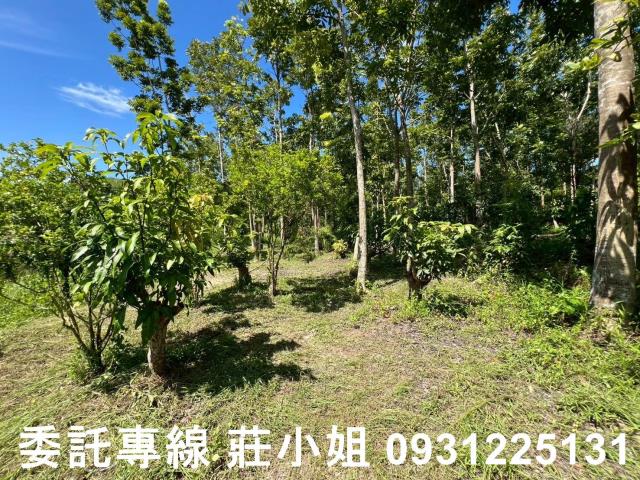 南化農地-2
