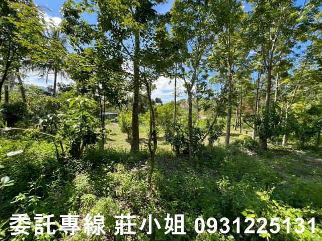 南化農地-5