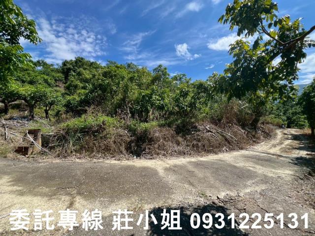 南化農地-8