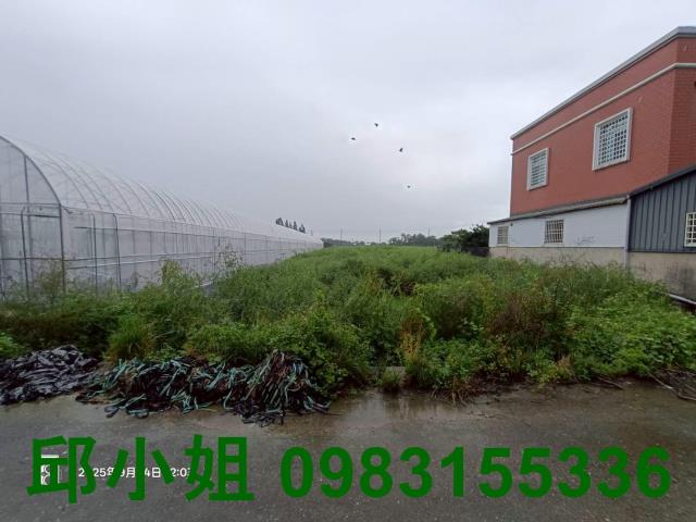 民雄農地-1