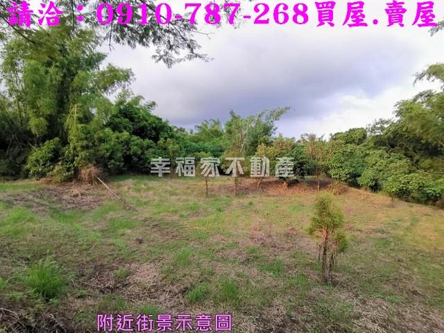 大內農地-14