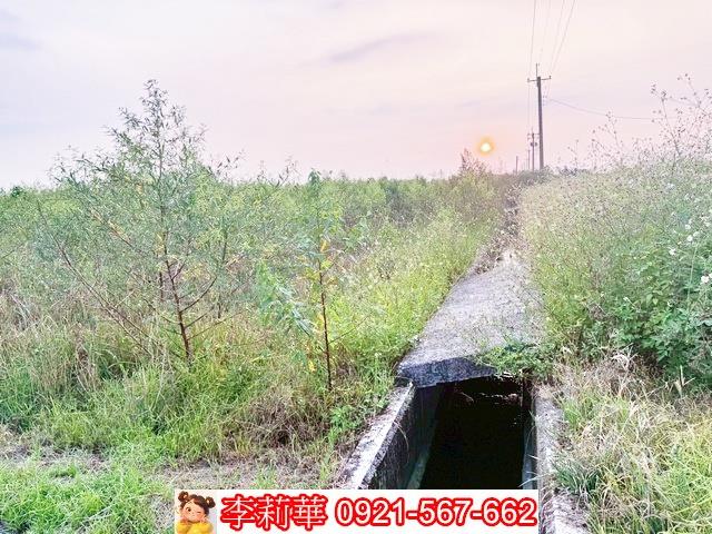 白河農地-10