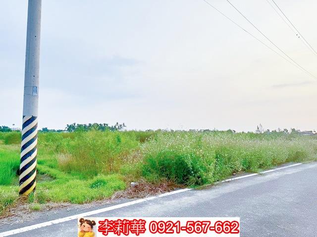 白河農地-6