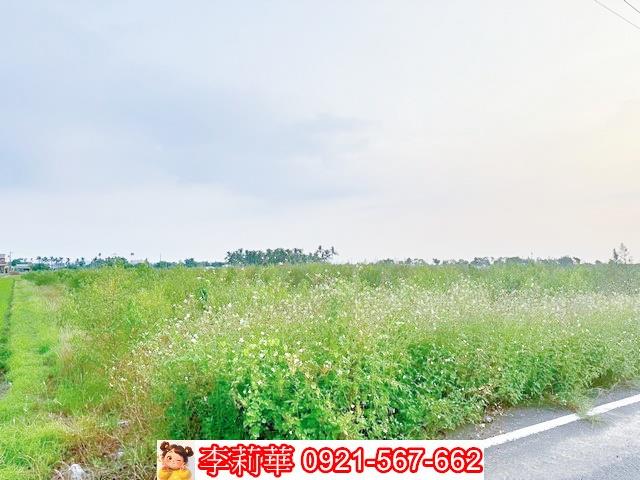 白河農地-7