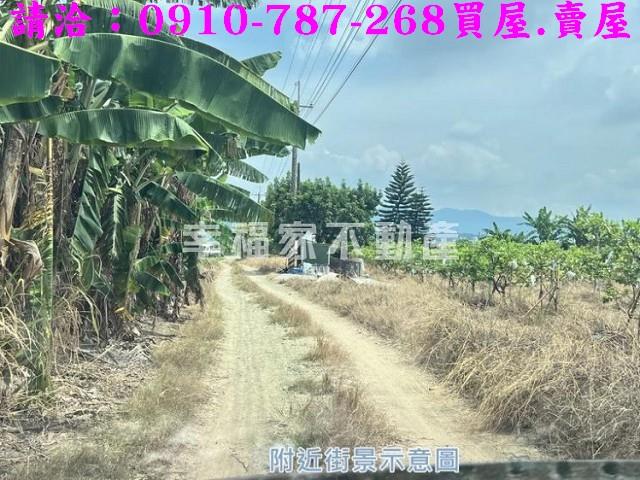 玉井農地-10