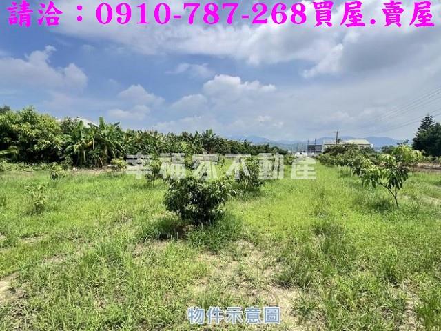 玉井農地-4