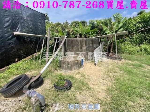 玉井農地-5