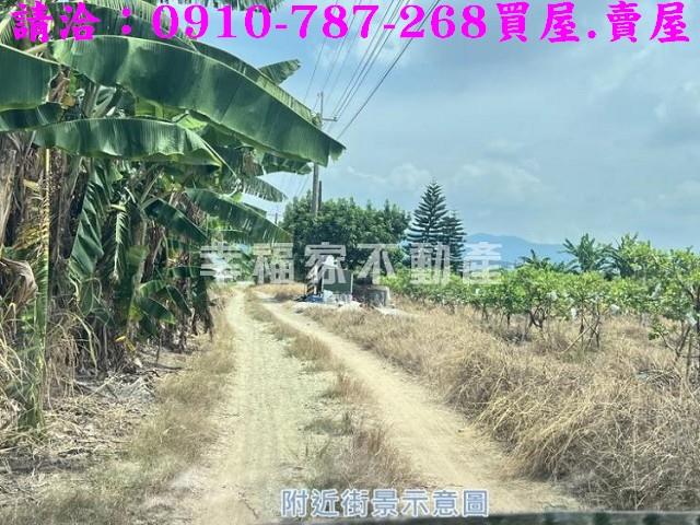 玉井農地-7