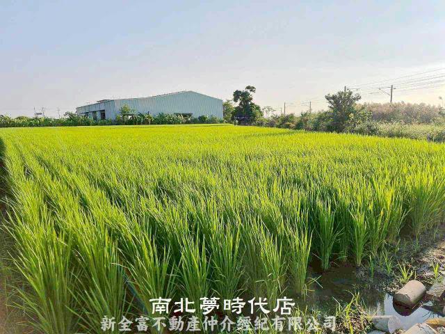 後壁農地-2