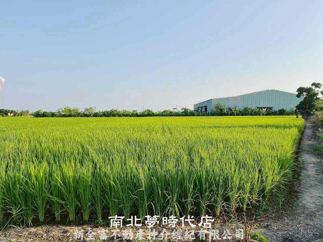 後壁農地-3