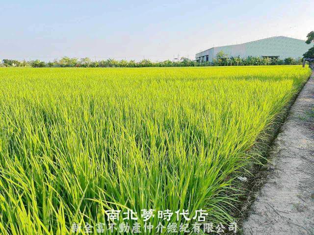 後壁農地-4