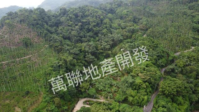 台中山坡地保育區林業-12