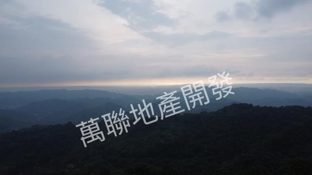 台中山坡地保育區林業-8