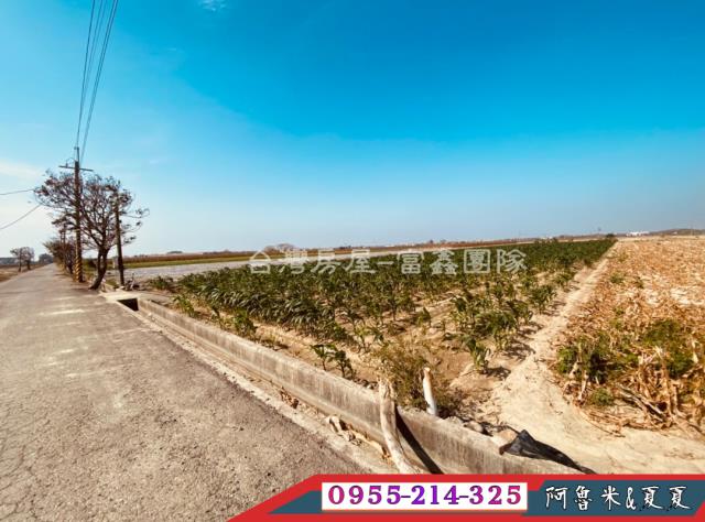 嘉義西區建地-2