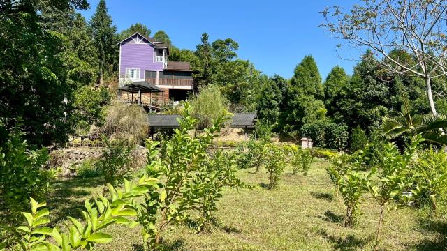 橫山農地-2