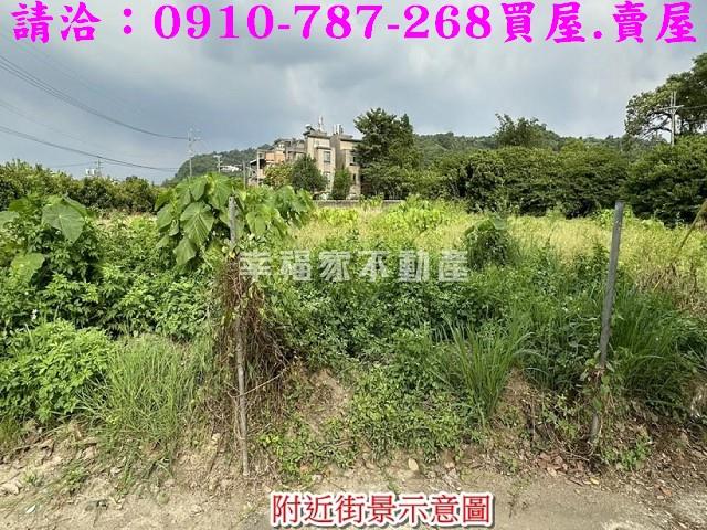 玉井農地-5