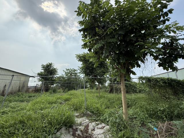 九如農地-4