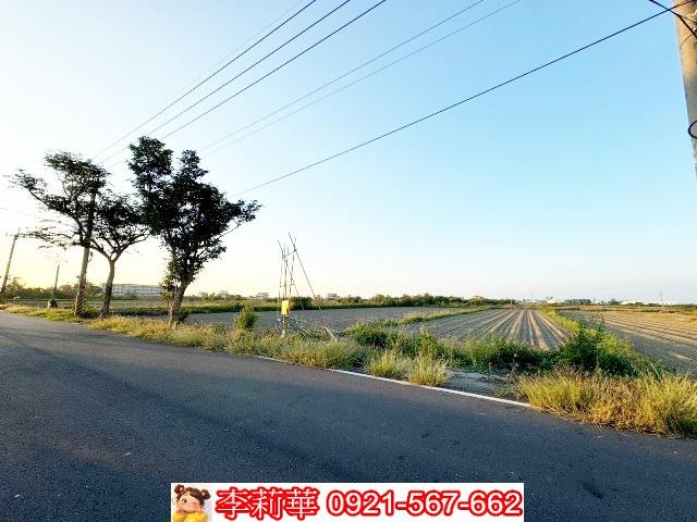 將軍農地-3