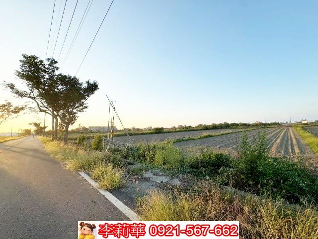 將軍農地-4