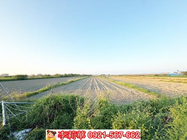 將軍農地-6