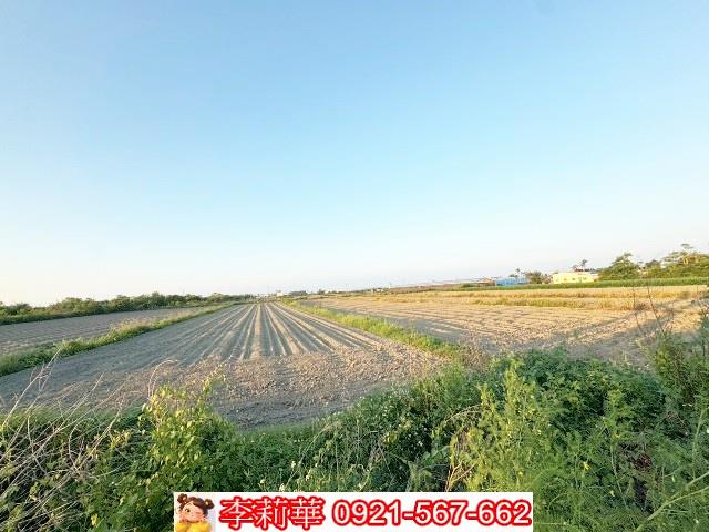 將軍農地-7