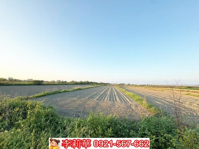 將軍農地-8