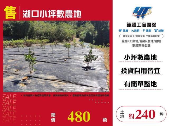 湖口農地-1