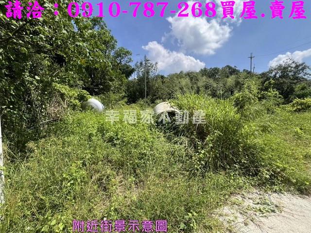 台南農地-11