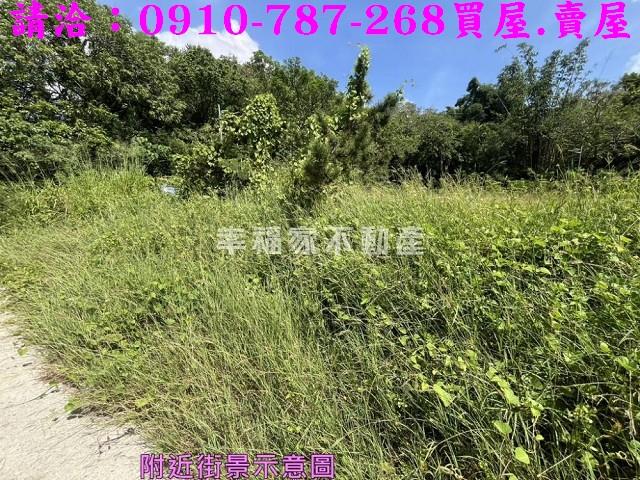 台南農地-13