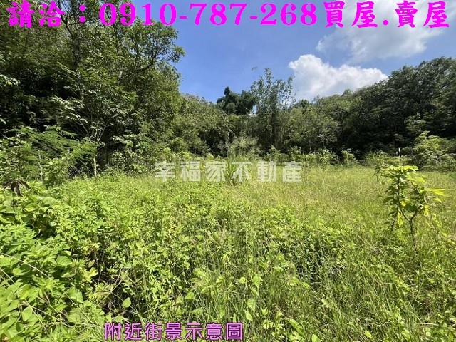 台南農地-14