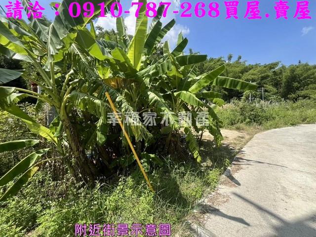 台南農地-15