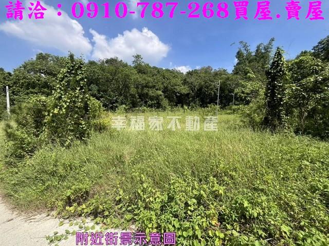 台南農地-7