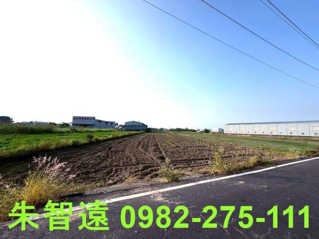 安定農地-1
