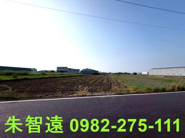 安定農地-4