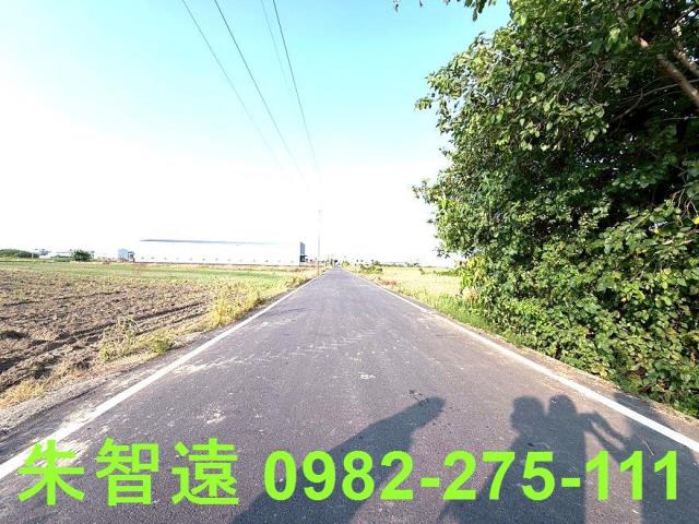 安定農地-5