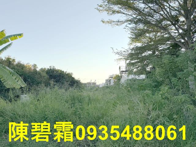 台南工業地-1