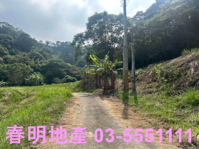 苗栗三灣農地-3