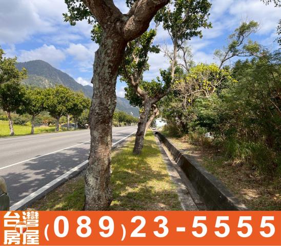 台東成功農地-6