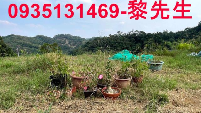 新竹寶山農地-6