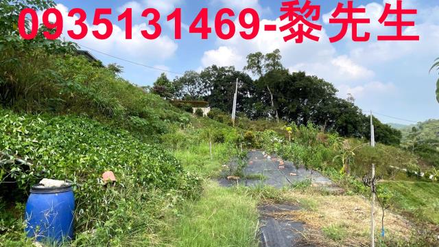 新竹寶山農地-14