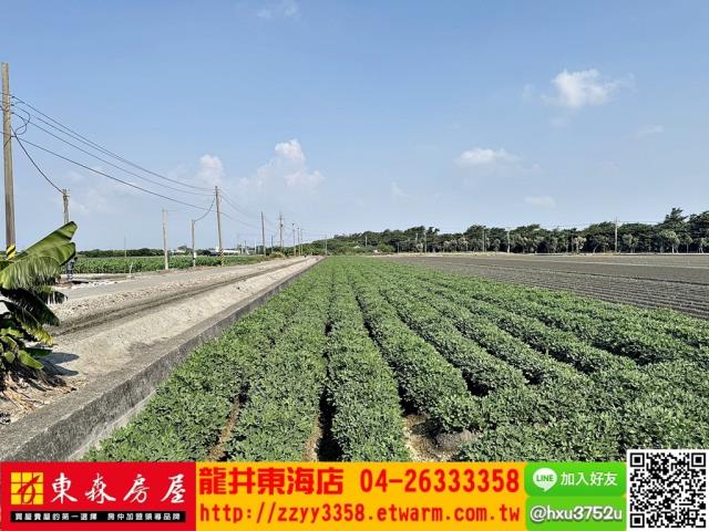 四湖農地-8