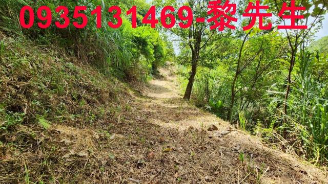 橫山農地-4