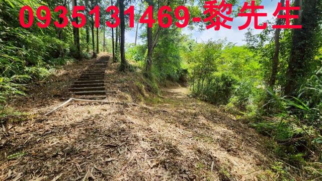 橫山農地-10
