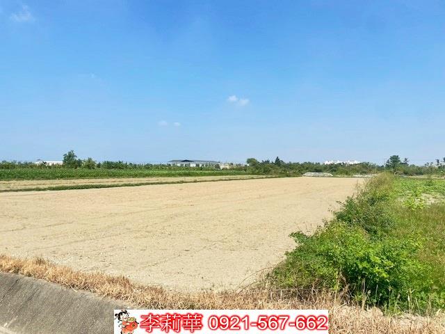 佳里農地-10