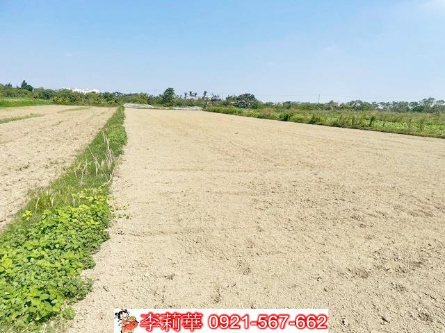 佳里農地-12