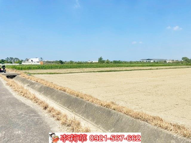 佳里農地-5