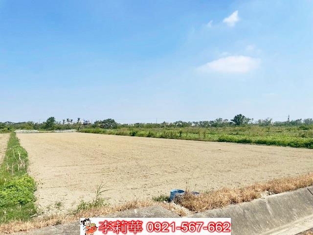 佳里農地-7