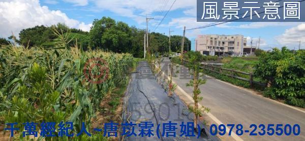 新竹農地-1