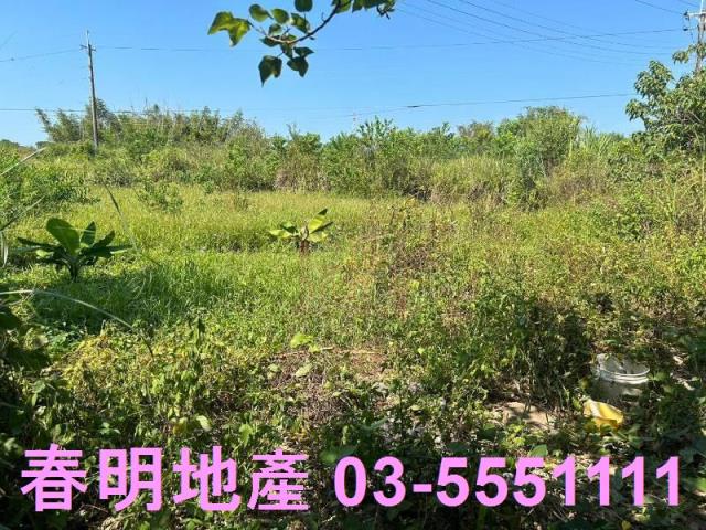 苗栗後龍農地-6